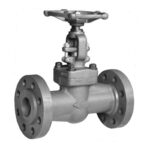 API 602 Globe Valve