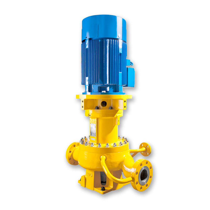 general-service-petroleum-low-flow-api-685-sealless-magnetic-drive-pump General Service Petroleum Low Flow API 685 Sealless Magnetic Drive Pump - Image 1